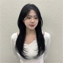 모델헤어아트