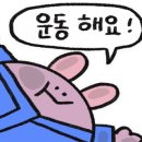 원파이트짐