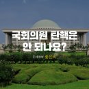 국회의원 결격사유(국회의원의 국민소환에 관한 법률안) 이미지