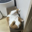 24년5월