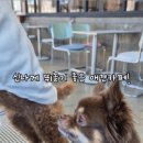 몽몽정원 이미지