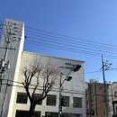 [부산대] 대형카페 논피니토 방문 후기