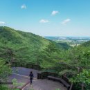 솔향수목원(솔숲광장) 이미지