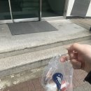 5월은 may, mayday는 도와달라는 뜻. 5월의저를좀도와주세요