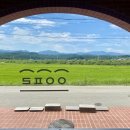 송화목장 | [양양 빵집 / 내돈내산 / 솔직후기] 여운포리 빵집