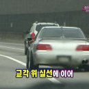 아카디아
