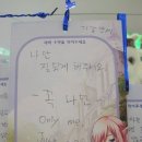 [서이추] 2025년 2월 판교 직장인 일상