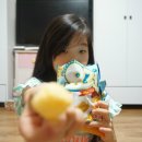 그릭요것 이미지