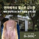 풍산동물병원 이미지