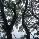 선유도 오룡묘 이미지