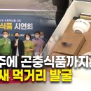 새경북식품 이미지