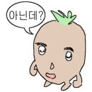 히유 스테이 네이버블로그