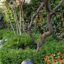 시를 쓰는 즐거움 이미지