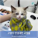 행신동물의료센터 이미지