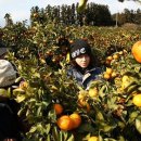 그집농장 이미지