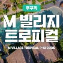 엠빌리지 네이버블로그