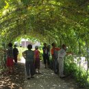 천안1리 경로당 이미지