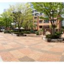 노을공원가로수길 이미지