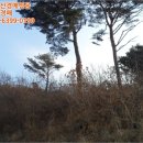 옥마로 이미지