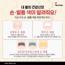 레푸스미아 이미지