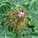 해평 금호리 이미지