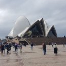 CH관광호텔 | 시드니 오페라 하우스(Sydney Opera House) 공연 관람: 호주 시드니 여행 3-2