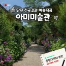 당진 아미미술관 수국 6월 7월 개화 현황 전시부터 꽃길 둘러본 후기