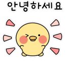 (주)여수월드서커스 아트홀 이미지