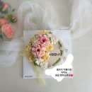 메르시마리 이미지