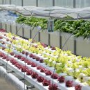 중앙수중개발 이미지