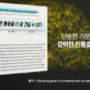 엔돌핀 Daum카페