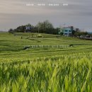 관식이 농장 이미지