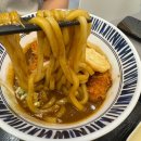 [담양맛집]광주근교데이트 담양 현지인 맛집&#34;카레담&#34; 방문 후기, 카레우동, 돈까스 맛집