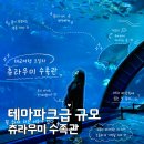 오키나와 츄라우미 수족관 후기 주차·시간·돌고래쇼 총정리 (태교여행 2일차)