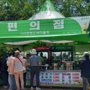 주말 나들이~ 함평나비대축제 다녀온 후기