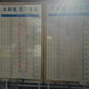 내진지 | [청도] 청도 소싸움 경기장, 왕중왕전 2024.12.7(토)-12.22(일),베팅방법,주말경기, 청도여행, 청도가볼...
