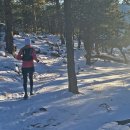 Sleek Line PT 이미지