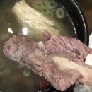 한우소야 이미지