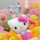 마이주주 이미지