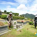 진해구 ⓒ-20 이미지