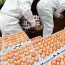 벧엘농장2 이미지