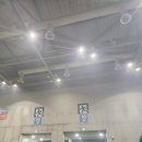 오 마이 캣 | 도자캣 내한 후기