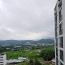 디딤돌법무사사무소