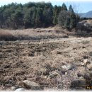 에코농장 이미지