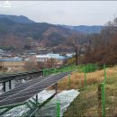 순천-10호 이미지