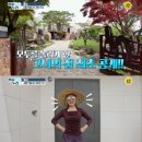 백세라이프 이미지