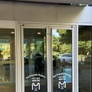 레몬비한라산리조트점 | 제주 애견동반숙소 한화리조트 멍패커룸 2박 후기