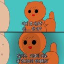㈜대하정보통신 | 소비자상담센터, 소보원 피해구제신청 환불후기 (쇼핑몰 환불거부 신고방법/+카드매출전표 발급방법)