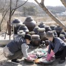 명태한상