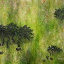 머물고 싶은 곳 이미지